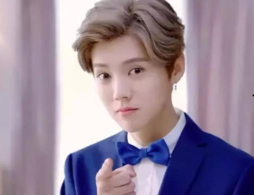 明星鹿晗娱乐圈小说,星光璀璨的娱乐圈传奇