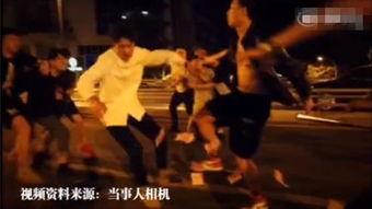 石家庄网红打架,网络暴力与法律边界冲突的反思